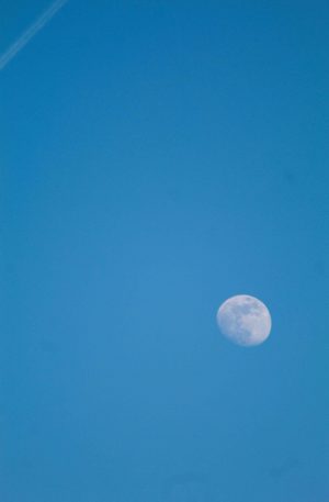 Moon Daytime