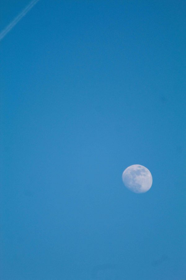 Moon Daytime